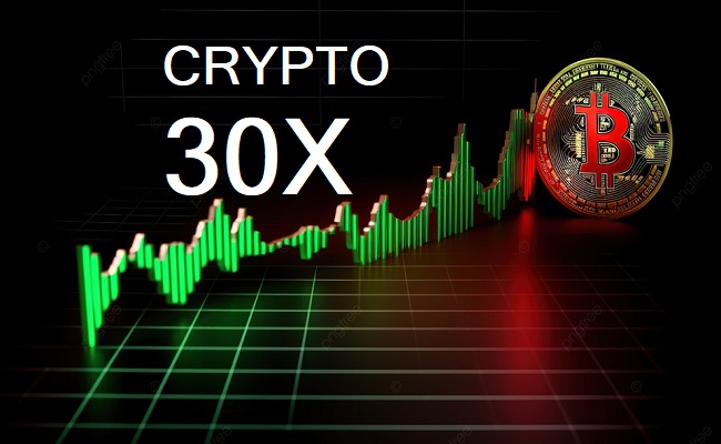 Crypto 30x .com — Exploring the Future of High-Growth Digital Assets Crypto 30x .com